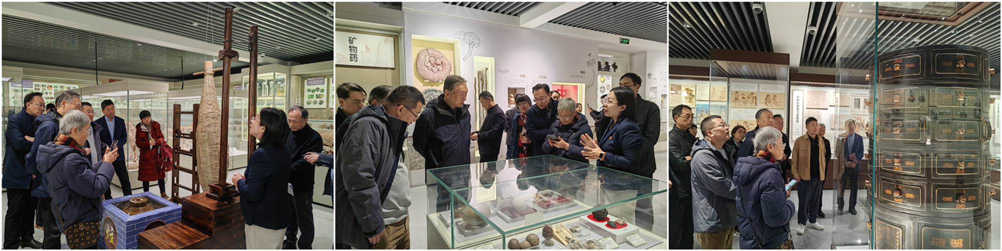 参观.jpg